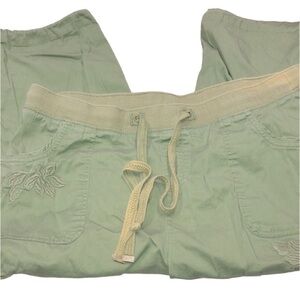 Terra & Sky Green pants size 14W